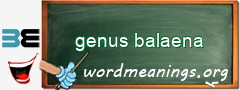 WordMeaning blackboard for genus balaena